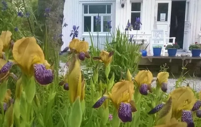 Keuruun Mummola * Keuruu